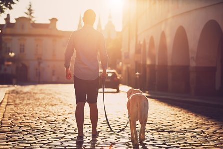 Man walking the dog on a sunny street